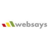 websays logo image