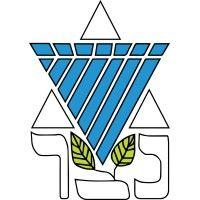 netzer olami logo image