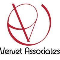 vervet associates logo image