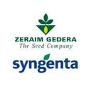 logo of Zeraim Gedera Syngenta