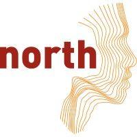 north face consultancy services ltd logo image