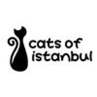 cats of istanbul logo image