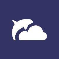 cloud orca logo image