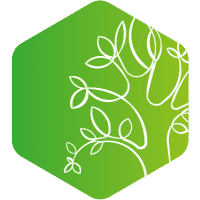 the oak tree group logo image