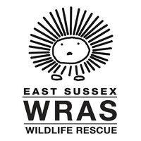 east sussex wildlife rescue & ambulance service (wras)