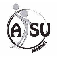 as l'union handball logo image