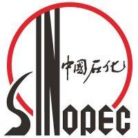 sinopec international petroleum exploration and production logo image