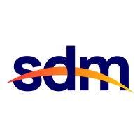 sdm - digital marketing consulting agency