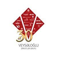 veyseloglu group of companies logo image