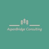 aspenbridge consulting logo image