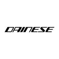 dainese logo image