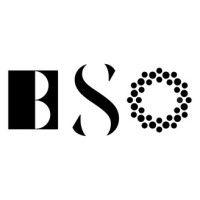 brooklyn symphony orchestra corporation logo image