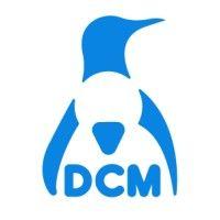 dcm system s.a.s logo image