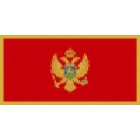 government of montenegro logo image