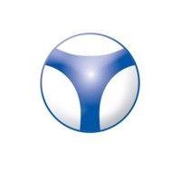 taos global group inc. logo image