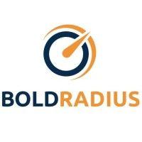 boldradius solutions logo image