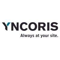 yncoris gmbh & co. kg