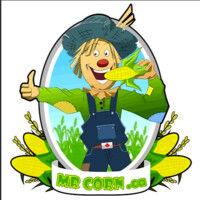 mr.corn logo image