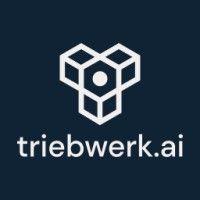 triebwerk.ai logo image