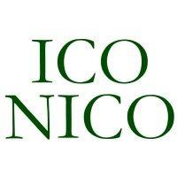 the iconico logo image