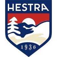 hestra gloves logo image