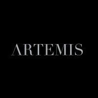 artemisvisuals logo image