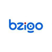 bzigo logo image