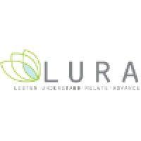 lura consulting logo image