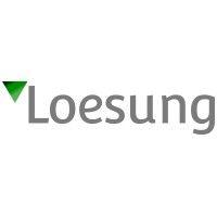 loesung logo image