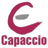 capaccio environmental engineering, inc. logo image