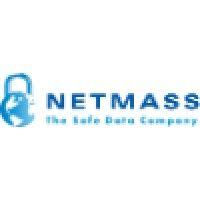 netmass incorporated logo image