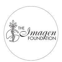 the imagen foundation logo image