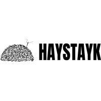 haystayk logo image