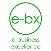 e-bx consulting llp logo image