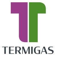 termigas s.p.a. logo image