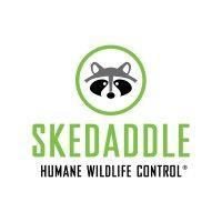 skedaddle humane wildlife control logo image