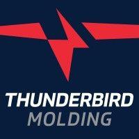 thunderbird molding logo image