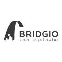 bridgio tech accelerator logo image