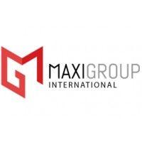 maxi group international logo image