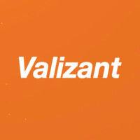 valizant, inc. logo image