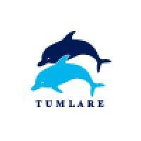 tumlare corporation logo image