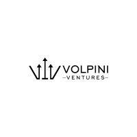 volpini ventures logo image