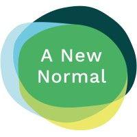 a new normal ltd logo image