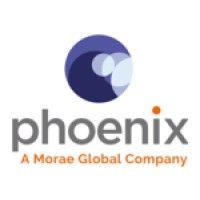 phoenix business solutions logo image