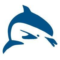 dolphin consulting logo image