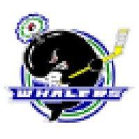 plymouth whalers logo image