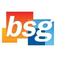 bsg logo image