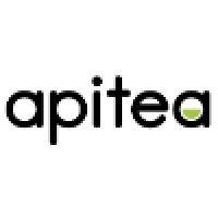 apitea technologies s.r.o. logo image