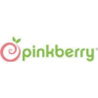 pinkberry ventures, inc logo image