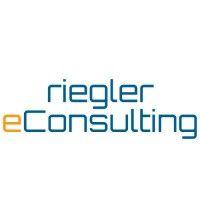 riegler econsulting e.u.